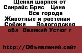 Щенки шарпея от Санрайс Брис › Цена ­ 30 000 - Все города Животные и растения » Собаки   . Вологодская обл.,Великий Устюг г.